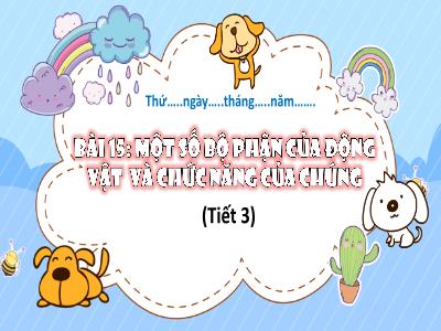 Bài giảng Tự nhiên xã hội 3 (Kết nối tri thức) - Bài 15: Một số bộ phận của động vật và chức năng của chúng (Tiết 3)