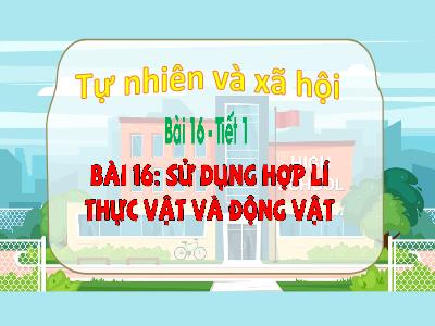 Bài giảng Tự nhiên xã hội 3 (Kết nối tri thức) - Bài 16: Sử dụng hợp lí thực vật và động vật (Tiết 1)