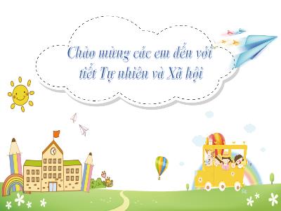Bài giảng Tự nhiên xã hội 3 (Kết nối tri thức) - Chủ đề 5: Con người và sức khỏe - Bài 18: Cơ quan tiêu hóa