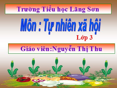 Bài giảng môn TNXH Lớp 3 - Bài 45: Lá cây (GV: Nguyễn Thị Thu)
