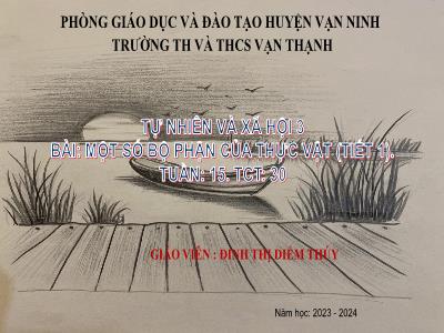 Bài giảng môn TNXH Lớp 3 - Tuần 15, Bài 13: Một số bộ phận của thực vật (Tiết 1)(GV: Đinh Thị Diễm Thúy - Trường TH&THCS Vạn Thạnh - Năm học 2023-2024)