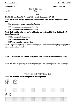 Phiếu Bài tập hằng ngày Tiếng Việt 3 - Bài 6. Cây gạo - Kết nối tri thức (Năm học 2026-2027)
